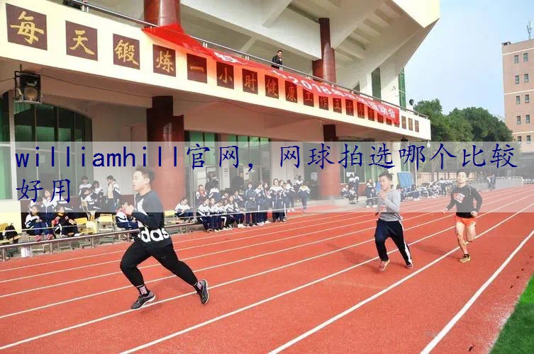 网球拍选哪个比较好用