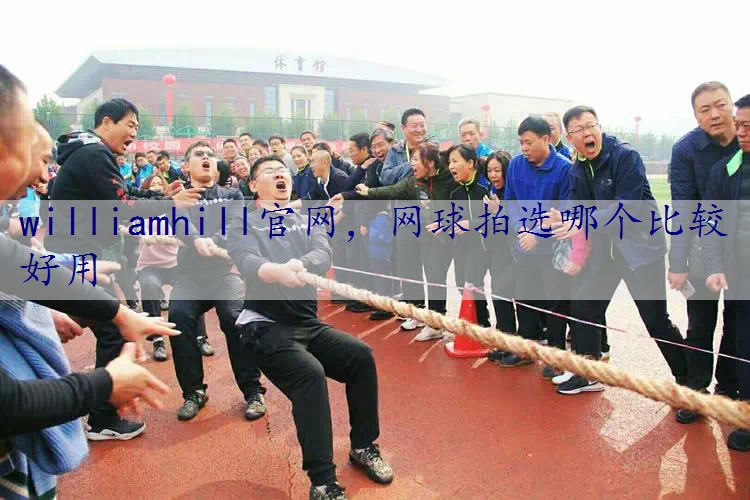 网球拍选哪个比较好用