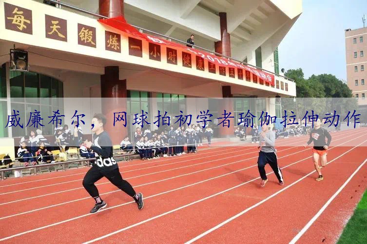 网球拍初学者瑜伽拉伸动作