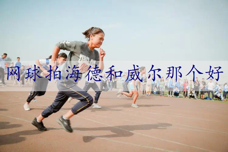 网球拍海德和威尔那个好