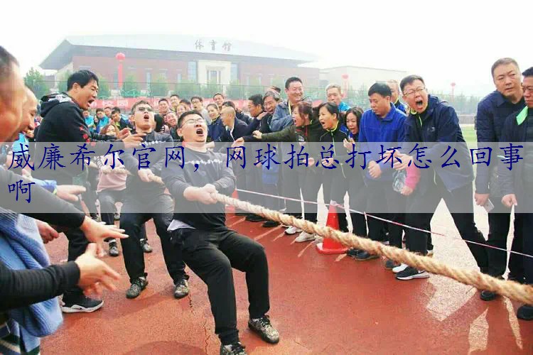 网球拍总打坏怎么回事啊