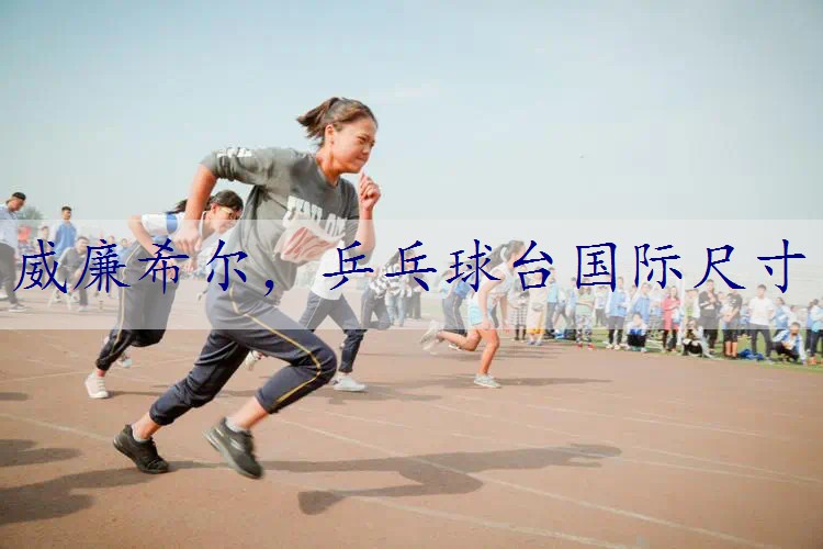 乒乓球台国际尺寸