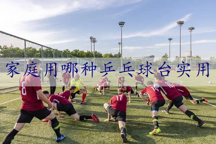 家庭用哪种乒乓球台实用