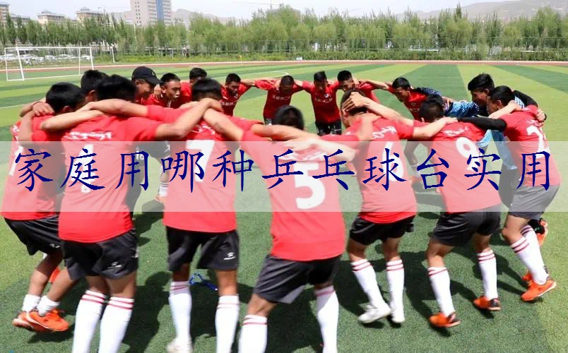 家庭用哪种乒乓球台实用
