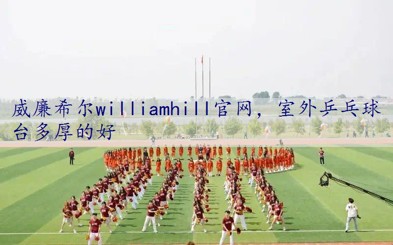 室外乒乓球台多厚的好